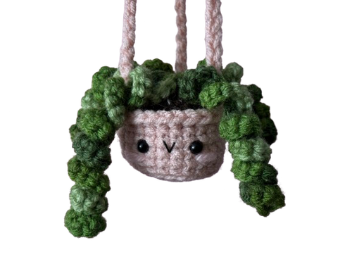 Hanging Plant