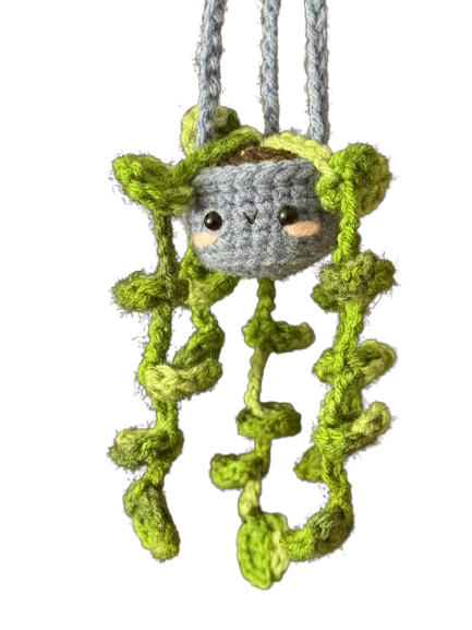 Hanging Plant