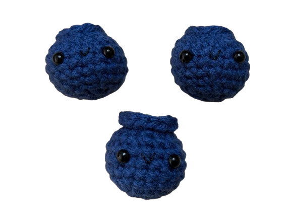 Mini Blueberry